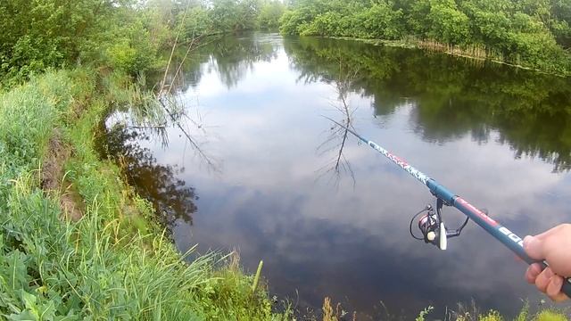 Ловля плотвы на зерно! Поплавок/Псел смотреть онлайн