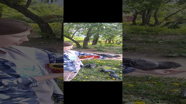 Гули и Камилла.mp4 смотреть онлайн