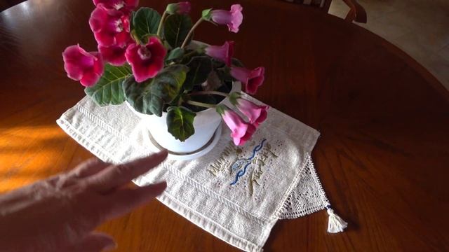 ГЛОКСИНИЯ. Уход в домашних условиях. смотреть онлайн