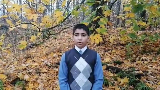 Стихотворение И. А. Бунина "Осыпаются астры в садах" смотреть онлайн