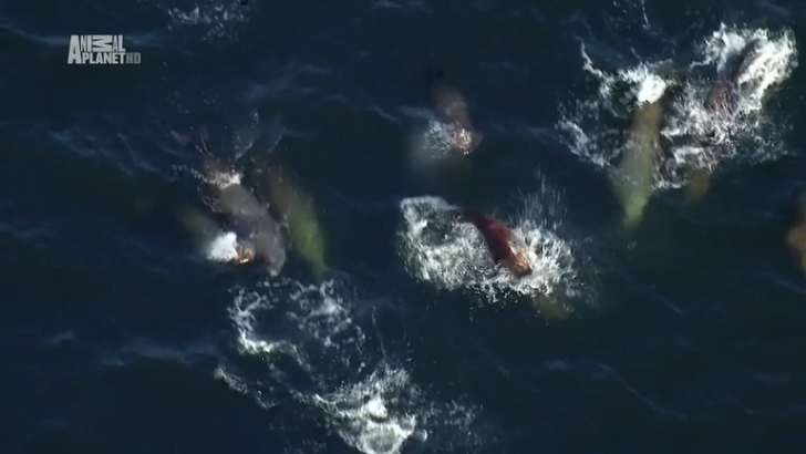 Unexplored Islands. Vancouver