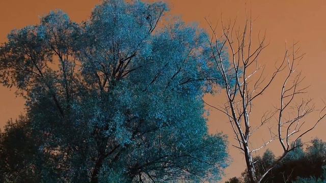 Vangelis apocalypse Earth смотреть онлайн