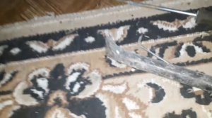 замена подшипников gorenje