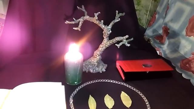 ЛАВР-ДАФНА НА ДЕНЬГИ... ДЛЯ ВСЕХ смотреть онлайн