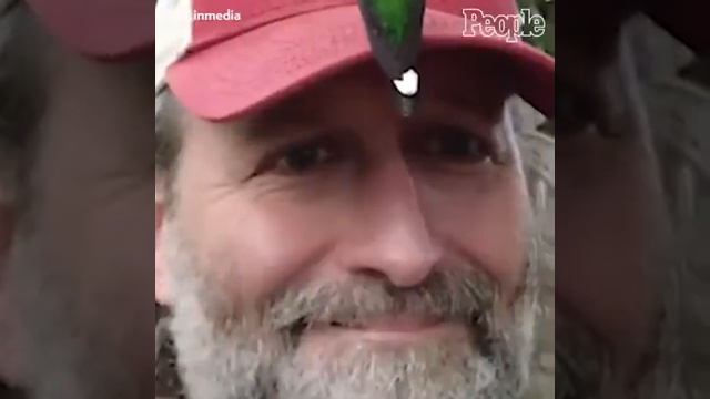 быстрая птичка колибри #колибри #птичку покормить смотреть онлайн