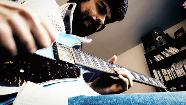 Pudding à l'arsenic- Funk Cover- Guitar & Harmonica смотреть онлайн