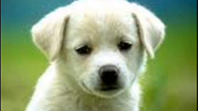 love me justin biber/ 0 смотреть онлайн