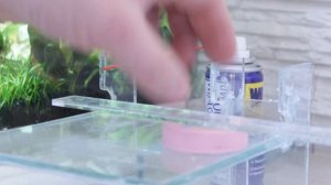 Система слива воды из аквариума в "лучший фильтр" своими руками