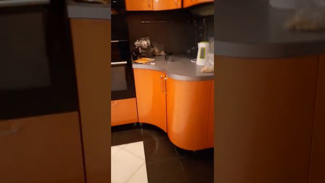 Где проживает новичок ютубер? смотреть онлайн