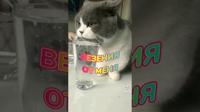 Отправь другу когда скучно или отправь сестре♥😊 смотреть онлайн