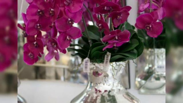 Floral bestest phalaenopsis arrangements ideas and phalaenopsis flower orchids part 1 смотреть онлайн