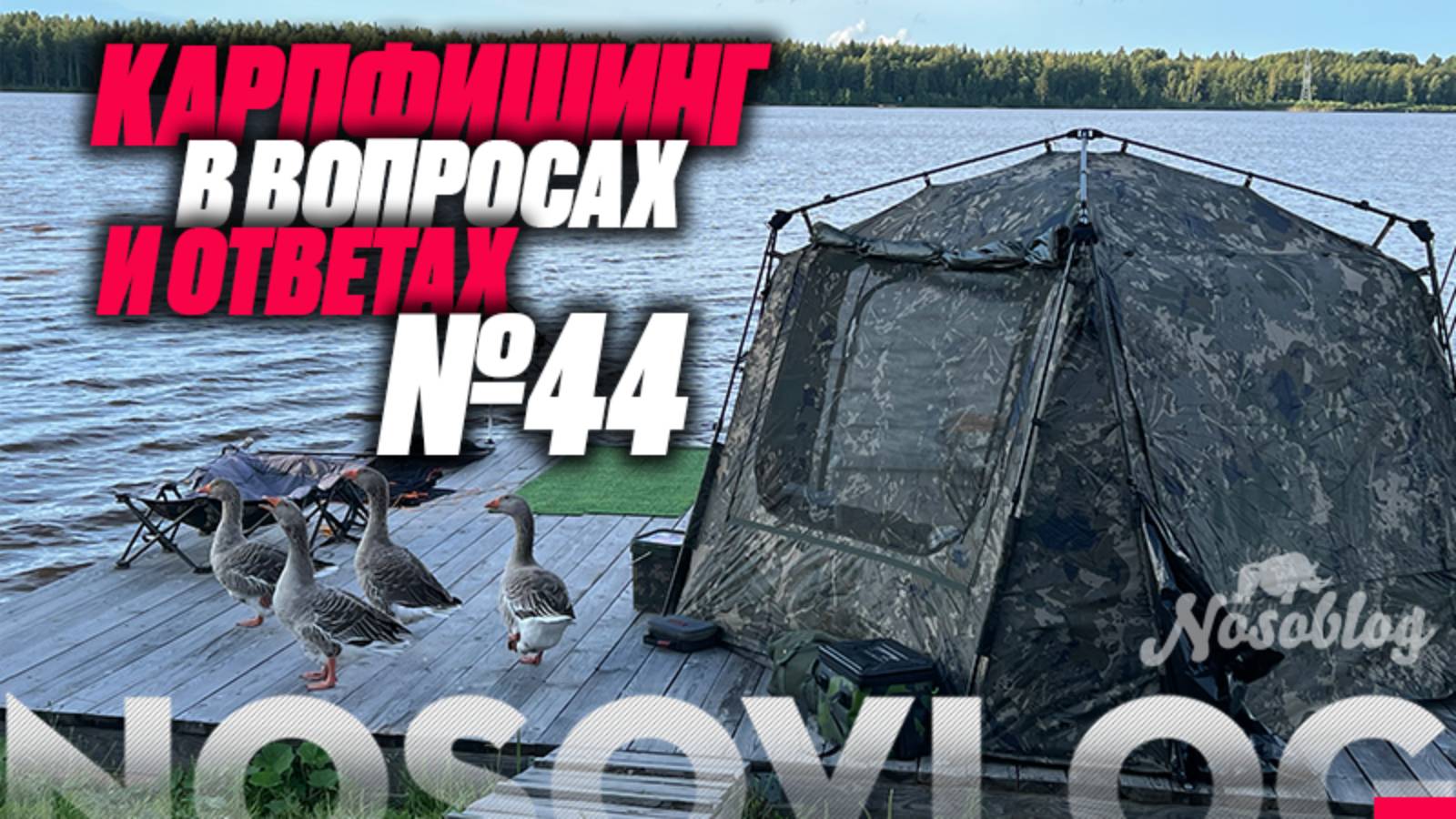 Карпфишинг в вопросах и ответах #44, Колесников А. смотреть онлайн