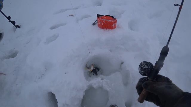 Ловля окуня на блёсна в марте. смотреть онлайн