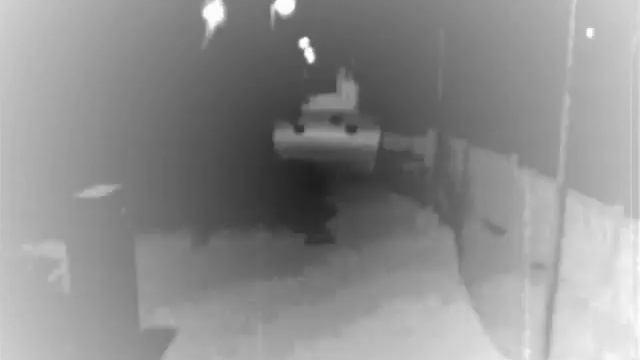 Masacre Carnal 2008 (Spanish Zombie Massacre) смотреть онлайн