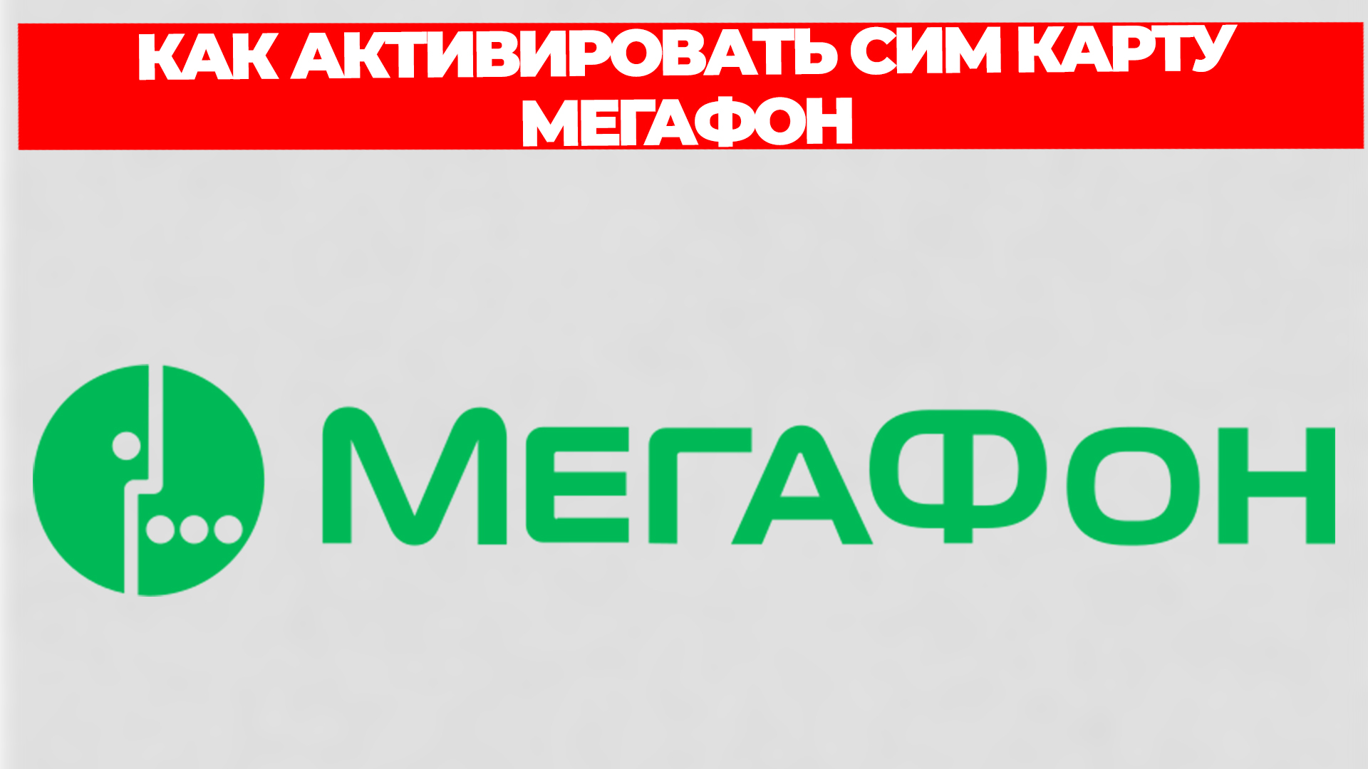 Всезнающий Енот