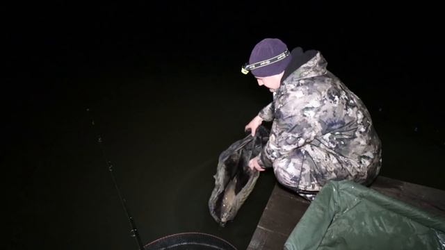 Активный клёв карпа в мае весной смотреть онлайн