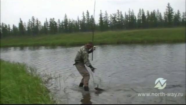 Ловля крупной щуки и окуня на озерах в Сибири смотреть онлайн