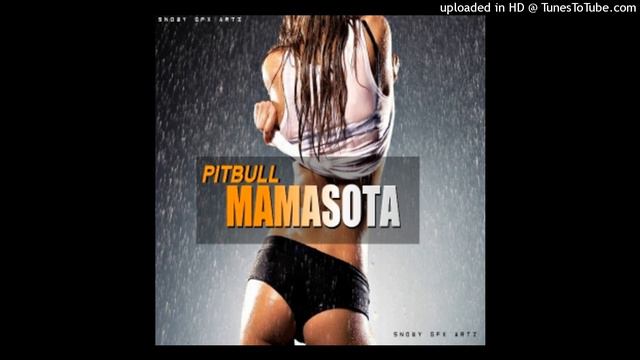 PITBULL - MAMASOTA(HORNZIEPLAYLIST)🇧🇹 смотреть онлайн