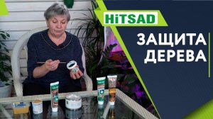 ЧЕМ ЗАМАЗАТЬ СРЕЗ НА ДЕРЕВЕ ✔️ СЕКРЕТЫ ОПЫТНЫХ САДОВОДОВ ОТ ХИТСАД ТВ советы