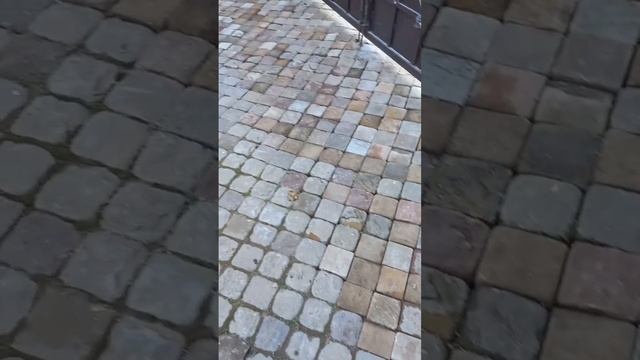 Ремонт тротуарной плитки смотреть онлайн