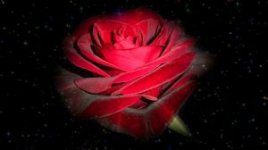 Футаж. Цветочный фон 116