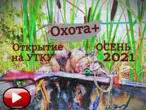 ОХОТА открытие охоты 2021. Осень на УТКУ открытие