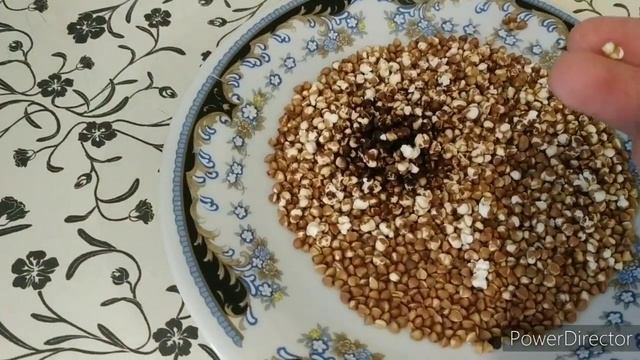 Проверка лайфхаков из ТИК-ТОКА!!! Попкорн из гречки!!!!!! смотреть онлайн