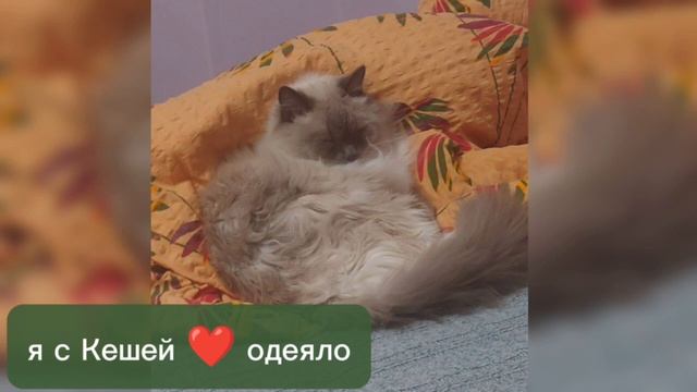 Мы с Кешей любим нашу покупку магазин ВсеЛенная на Ready to Buy смотреть онлайн