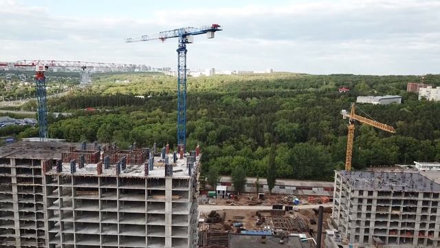 Вид на лес со строительной площадки Нового Умного дома