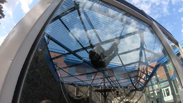 Гуляем по Новосибирскому зоопарку 30 августа 2020. NovosibirskZOO. Белые медведи и другие звери смотреть онлайн