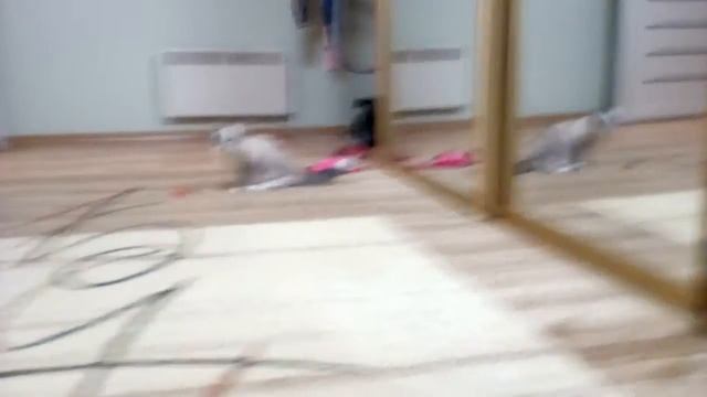 День рождения Снежки 31.10.2020 Первые эмоции от подарков?????????? Путе год смотреть онлайн