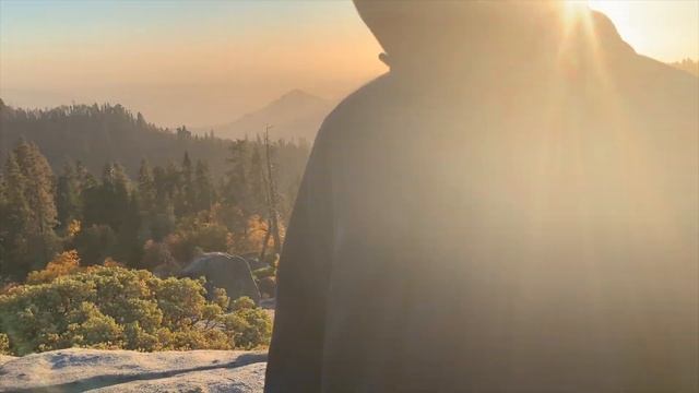 sequoia 2019 смотреть онлайн