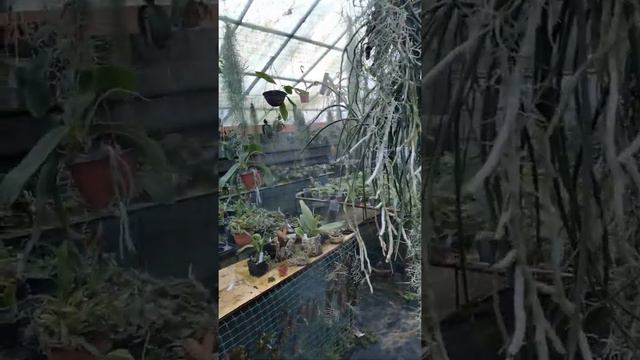 VID 20201208 103008 смотреть онлайн