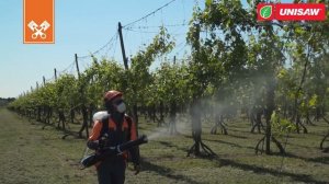 Мощная ранцевая воздуходувка - распылитель Oleo-Mac