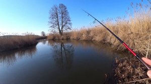 Как ловить окуня весной / Микроджиг на малой реке