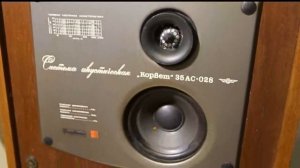 Ремонт и краткий обзор акустики - "Корвет 35АС-028"