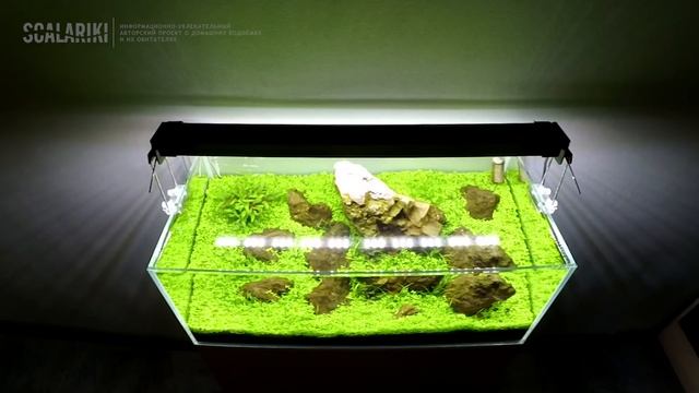 Результаты использования светильника Tetra tetronic led proline 580 смотреть онлайн