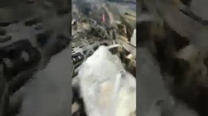 Метки ГРМ на двигателе 1UR-FE. LC202 4.6