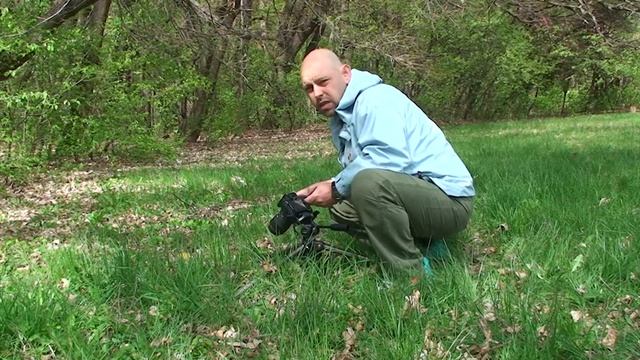 Макро фотография # 2 Снимане на неподвижни обекти. смотреть онлайн