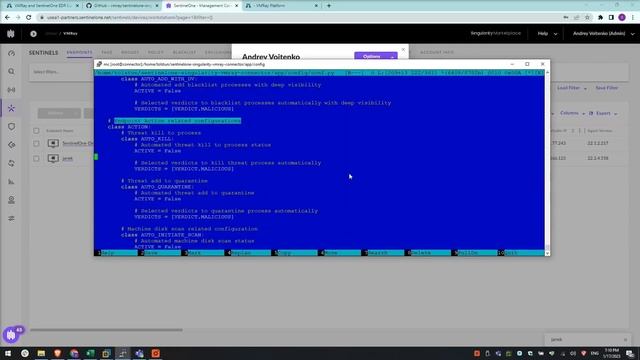 SentinelOne and VMRay Integration смотреть онлайн