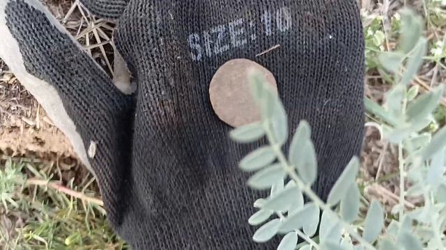 Настройка пляж2 Equinox 800,видит монеты и мелочь смотреть онлайн