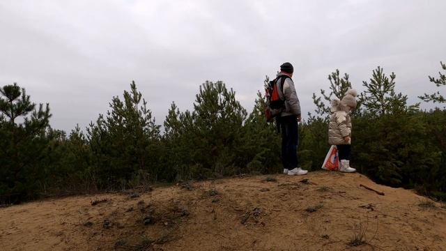 В ДЕКАБРЕ ЗА ГРИБАМИ. ЭНЕРГОДАР. В лес за грибами смотреть онлайн