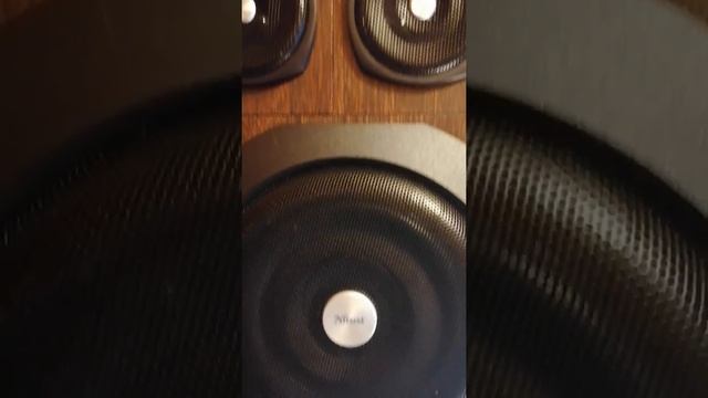 Trust Vigor 2.1 Sound Test 2. (Bass) смотреть онлайн