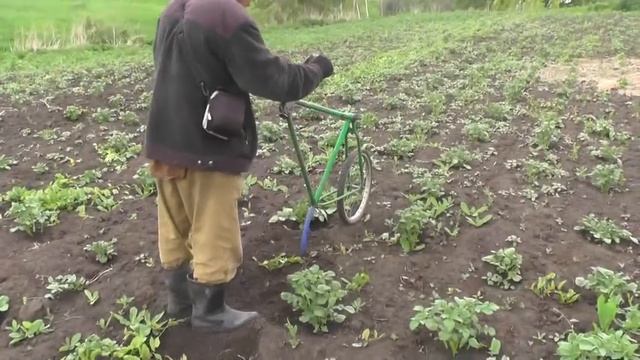 Новинки-самоделки для огорода. 15. 06. 2019 смотреть онлайн