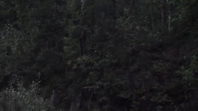 Поработал и с Раскатом зайцев погоняли 2023 г. смотреть онлайн