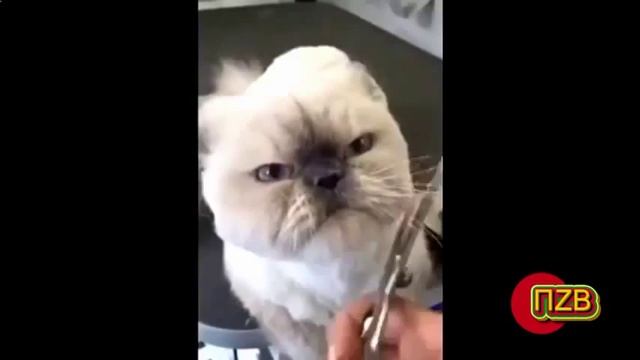 С разгону в мусорный бак! смотреть онлайн