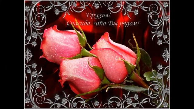Юлия Полянская Спасибо Вам. смотреть онлайн