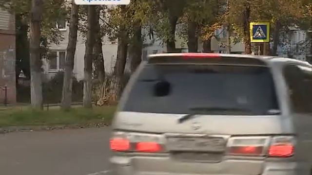 В Арсеньеве создали "собачий" патруль смотреть онлайн