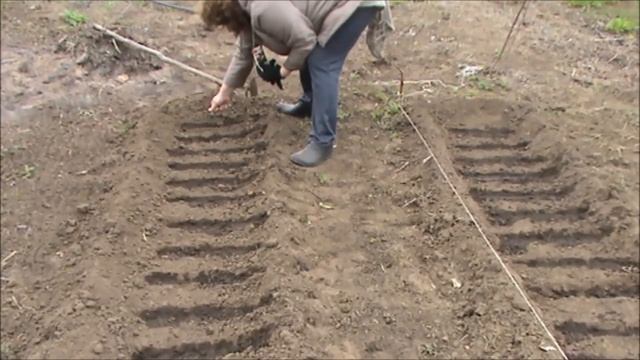 День на огороде Посев Про дачников смотреть онлайн