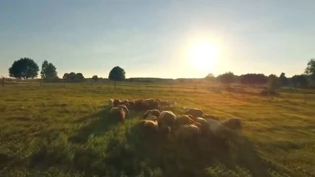 Пусть небо русское лежит на русской тверди (сл. Н. Колычева, муз. Л. Евсеевой)